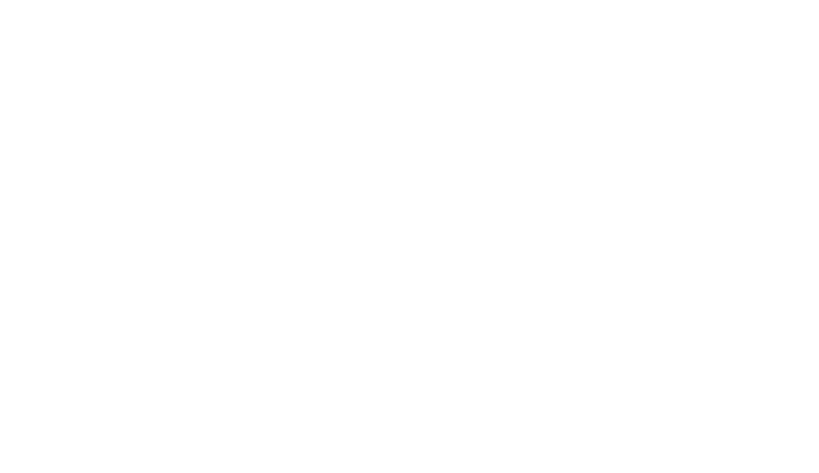 Mérida 62